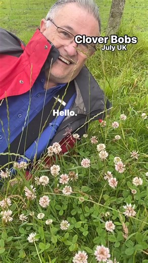 109K views · 2K reactions | Clover Bobs #plants #gardening #lawns #lawncare #lawn #plantsplantsplants #wildeplants #ukwideflowers #wildflowers #clover #redclover | Dave The Plantman | Facebook