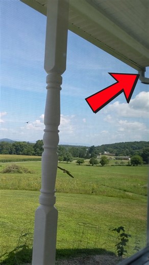 4.5K views · 26 reactions | What are these barn swallows doing? In the corner the arrow is pointing to, there's a nest where the fledglings left about a week ago. Are they inspecting it to go in and lay eggs? Are they doing some kind of ritual after the exit of the previous inhabitants? It's very interesting to watch. I just wish I understood what they are doing ❓ #birdwatching @birds #barnswallows #countryliving #slowliving | I Love Flowers & Nature | Facebook