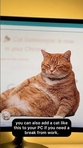 How to Use Cat Getkeeper Extension on Chrome 🐱 | Trending Productivity Tool for PC Users