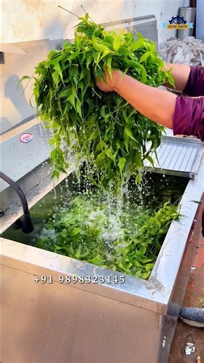 🌿 Neem Powder Manufacturing Plant | Neem Leaf Processing Machine, Cost & Complete Production Process