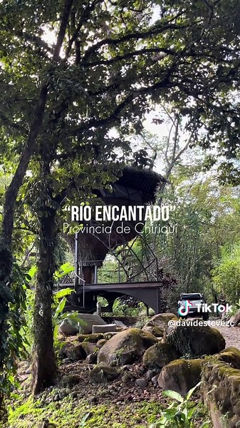 Casa del Árbol en Boquete: El Mejor Airbnb en Panamá