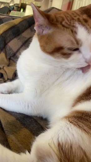 Ryan Simpkins (@ryan_the_ryan)’s videos with original sound - Organic Nature Channel