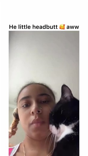 Follow @punchingcat for more daily content like this Anyways here are 5 Ways to Help Your Constipated Cat: 1. HYDRATION Hydration is the most important step in helping your cat deal with constipation. When your cat is constipated, it may be due to dehydration. This problem, in turn, will make them even more constipated, so the cycle will continue without some intervention. 2. DIET Wet food helps relieve constipation because it is hydrating, and it also helps because it is softer and easier for m