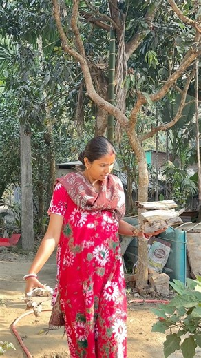 world smallest eggplants 🍆 😆#comedy #viral #shortvideo #dailyvlog #comedyfilms