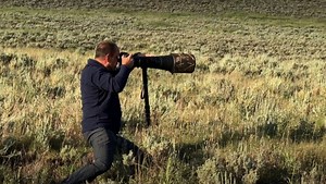 Wildlife Photographer Reviews the Nikon D6