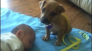 89M views · 75 reactions | We know it's a sleepy Monday, so let us...