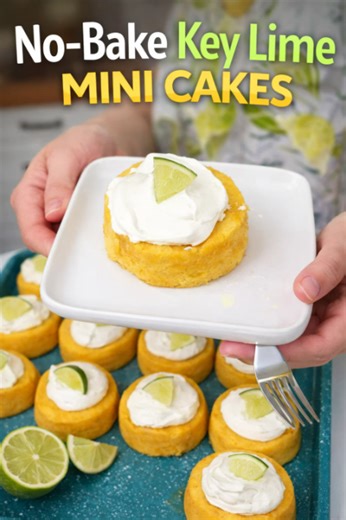 The no bake key lime mini cakes everyone keeps making