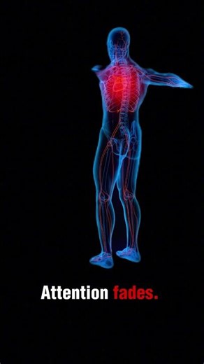 Your Organs Don’t Rest at the Same Time