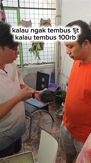 batu akik kalau ngak tembus 1jt kalau tembus 100rb #batuakik