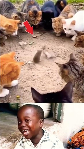 🤣😱#trending #funny #funnyvideo #viral #viralvideo #shorts #shortvideo