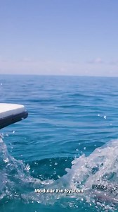 Power, Precision, Personalized. With the SCUBAPRO Modular Fin System, you can customize your fin performance and style for every dive. https://bit.ly/4mfdyVr | Scubapro