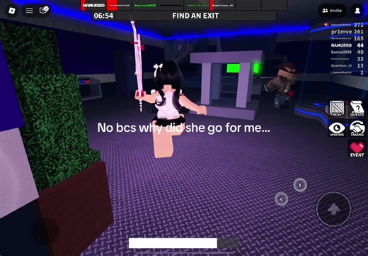 Why Did She Target Me in Roblox?