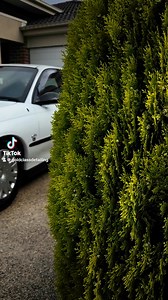 56K views · 575 reactions | LSA VX Commodore 﫡 #goldclassdetailing #vx | Early Commodore Community | Facebook