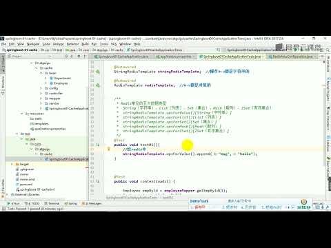 《SpringBoot视频教程》 9·11 RedisTemplate&序列化机制