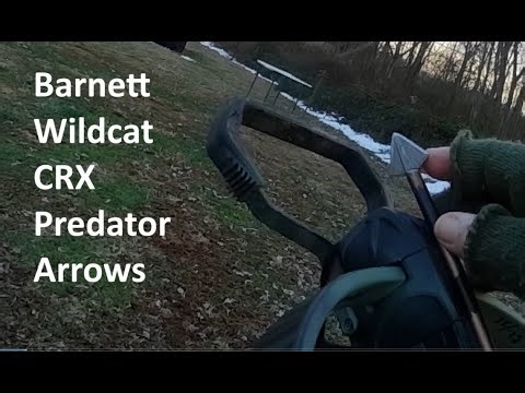 Barnett Wildcat CRX Predator Arrows