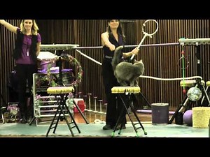 National Act "The Amazing Acro-Cats" Perform in St. Cloud