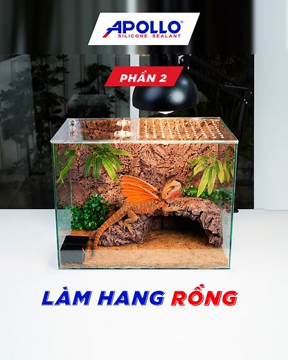 798 reactions · 37 comments | #DIY TẠO HÌNH “HANG RỒNG” CHO BỂ...