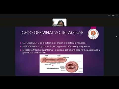 EMBRYOLOGY: THIRD WEEK OF DEVELOPMENT