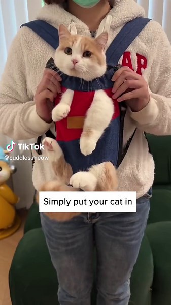 This gotta be the best way to walk your cat! 😂🐈