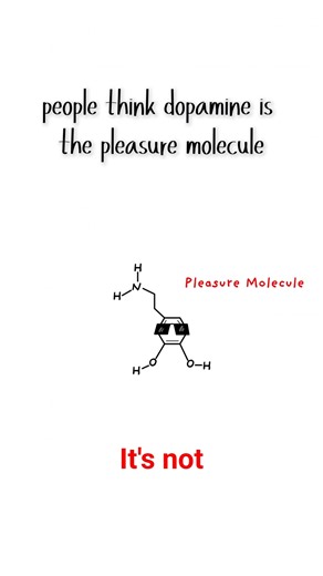 How to Trick your brain doing the hard thing #dopaminedetox #animation #monkeymind101 #monkeymind