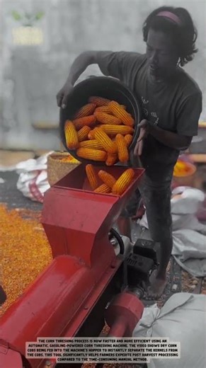 Automatic Corn Thresher Machine: Fast & Efficient Maize Shelling