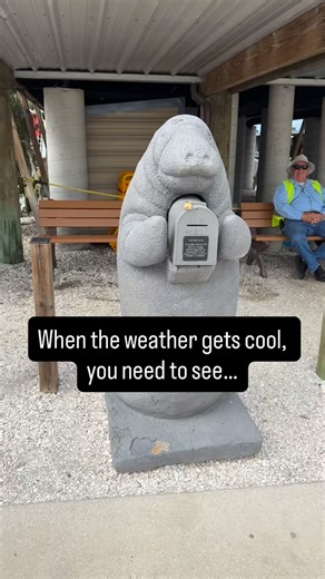 ✨The Manatee Viewing Center in Apollo Beach 💙 If you’re looking for an awesome outdoor adventure for kids (and adults too!), this place is a must-visit. Watch gentle manatees lounge in the warm water, explore nature trails, climb the observation tower, and even check out the stingray touch tank — all for FREE! 👨‍👩‍👧‍👦🌴🦭 ￼ 📍 Location: 6990 Dickman Rd., Apollo Beach 🕙 Hours: Open daily from 10 AM–5 PM, Nov 1–Apr 15 (trails close at 4 PM) 📆 Closed on Thanksgiving, Christmas, & Easter; clo