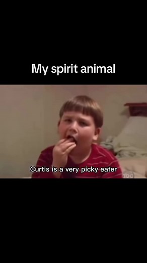 Chicken Nuggets Meme: The Ultimate Compilation