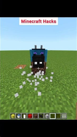 Dragon Head Hacks 🔥 #minecraft #hack #shorts