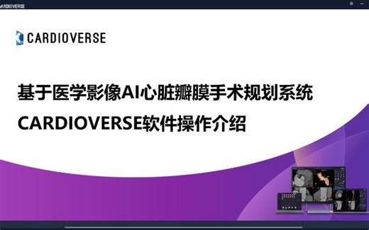 心脏瓣膜AI分析软件Cardioverse操作详细介绍