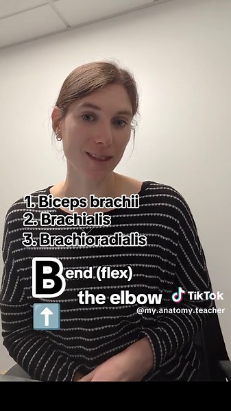 #anatomy #teacher #study #stem #studywithme #studyhack #studytok #teachersoftiktok #learnontiktok #studytool #anatomyandphysiology #anatomyclass #memorytip