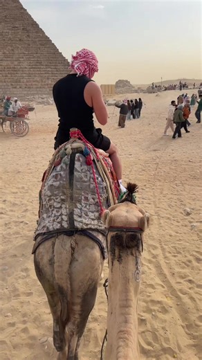 Мечты сбываются в Rummy