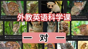 Science外教英语科学课线上课一对一