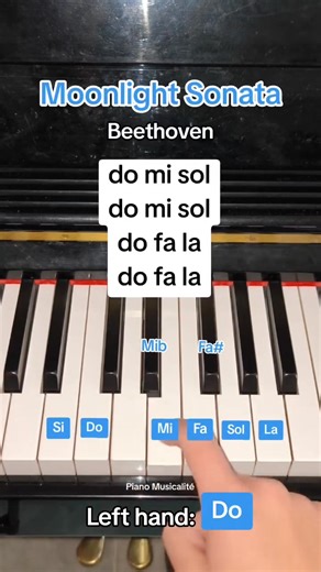 186K views · 2.4K reactions | Moonlight Sonata with two hands #piano #pianotutorial #PianoLessons #short #pianomusicalite | Piano Musicalité | Facebook