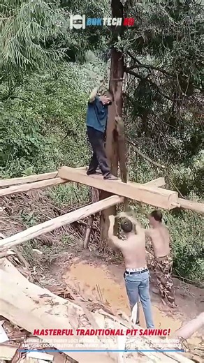 Heavy Timber Manual Two Person Pit Sawing- Satisfying jobs and machinery in the world