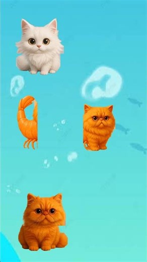 cocokan gambar kucing #animasi #cat