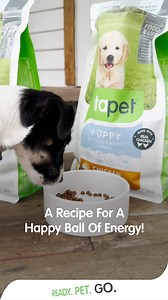 The secret to an energetic puppy lies in proper nutrition. 🐶 Food-4-Life Puppy has all the essentials to fuel your growing pup throughout the day and help them develop into healthy adolescents. #vitapet #readypetgo | VitaPet Australia
