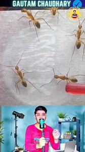 1.5M views · 8.6K reactions | In which part of the body does the ant store its food?  . . . . . . . . . . . . . . . #facts #tech #education #emotional #reels #instagram #explorer #trendingreels #trendingnow #facebookreelschallenge | Gautam chaudhary | Facebook