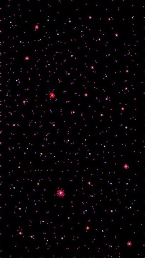 Particle Life Simulation - %s