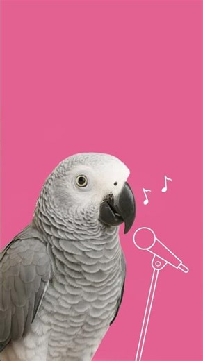 Chegou a nova Linha Petiscos Tupperware®!