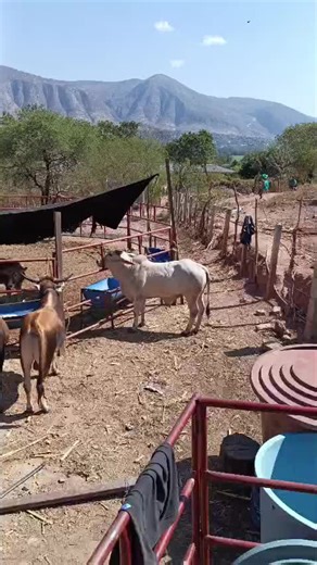 Discover the Charm of Guerrero, Mexico