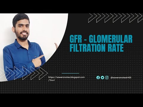 Glomerular Filtration Rate (GFR) – Explained Simply | Renal Physiology | MBBS, Nursing & Paramedics
