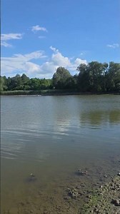 Guelph lake conservation park