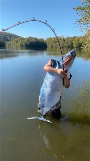 Fish vs Fisherman Showdown! 😱 #funnycatches #funnyfishingvideo #funnyfishing #fishing #shorts