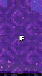 19K views · 246 reactions | This Minecraft Glitch Will Make You Sick #reelsvideoシ #fypシ゚viralシ #fypシ゚シ #reelsviralfb #reelsvideo #reelsfb #Minecraft #minecraftpe #minecraftmemes #funnyposts | Skip the Tutorial | Facebook