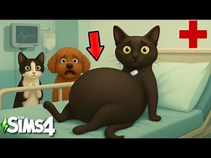 Pregnant black cat has baby kittens in The Sims 4 | Moon and Star