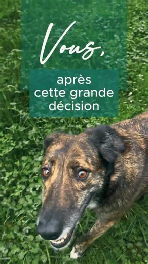 vous après avoir décidé de consulter un psy