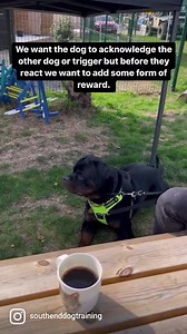 How To Use Food To Help Reactivity… … this can also be applied at restaurants, beer gardens. You can also practice this in fields, parks, woods, pretty much anywhere. The whole point is to teach the dog good things come from looking and there is no need to get worked up and react. We begin with rewarding a look before the dog reacts. When the dog understands looking lead to the reward, they start, very quickly, looking and than looking to you, we then reward this. Over time we can delay the rewa