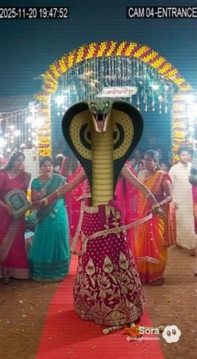 Bride Turns Into a Naagin on Wedding Day! 😱🐍 CCTV Footage Shocks Everyone!