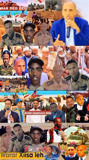 Baga Baga: Arab Birta Nool Guulaysta