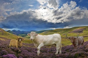 24 Unique UK Adventure Weekends for 2025 | VickyFlipFlopTravels